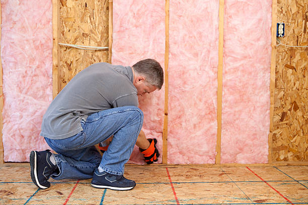 Best Insulation for New Construction  in Springfield, CO